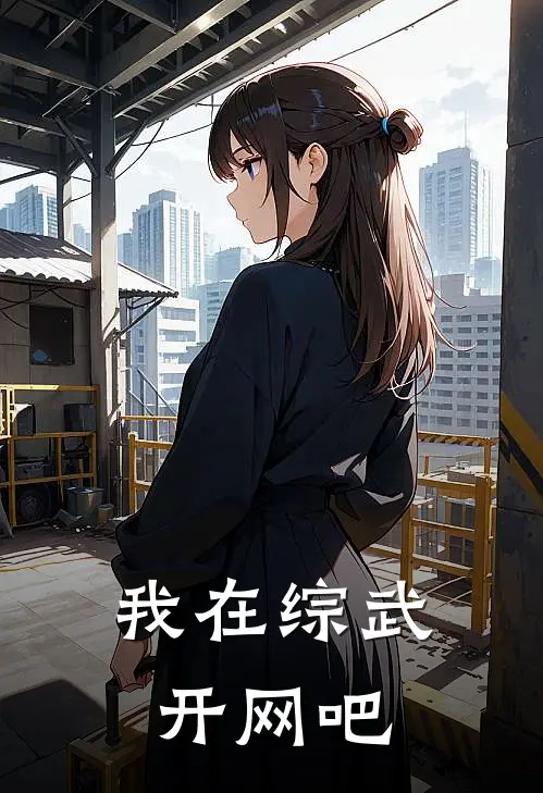 我在综武开网吧